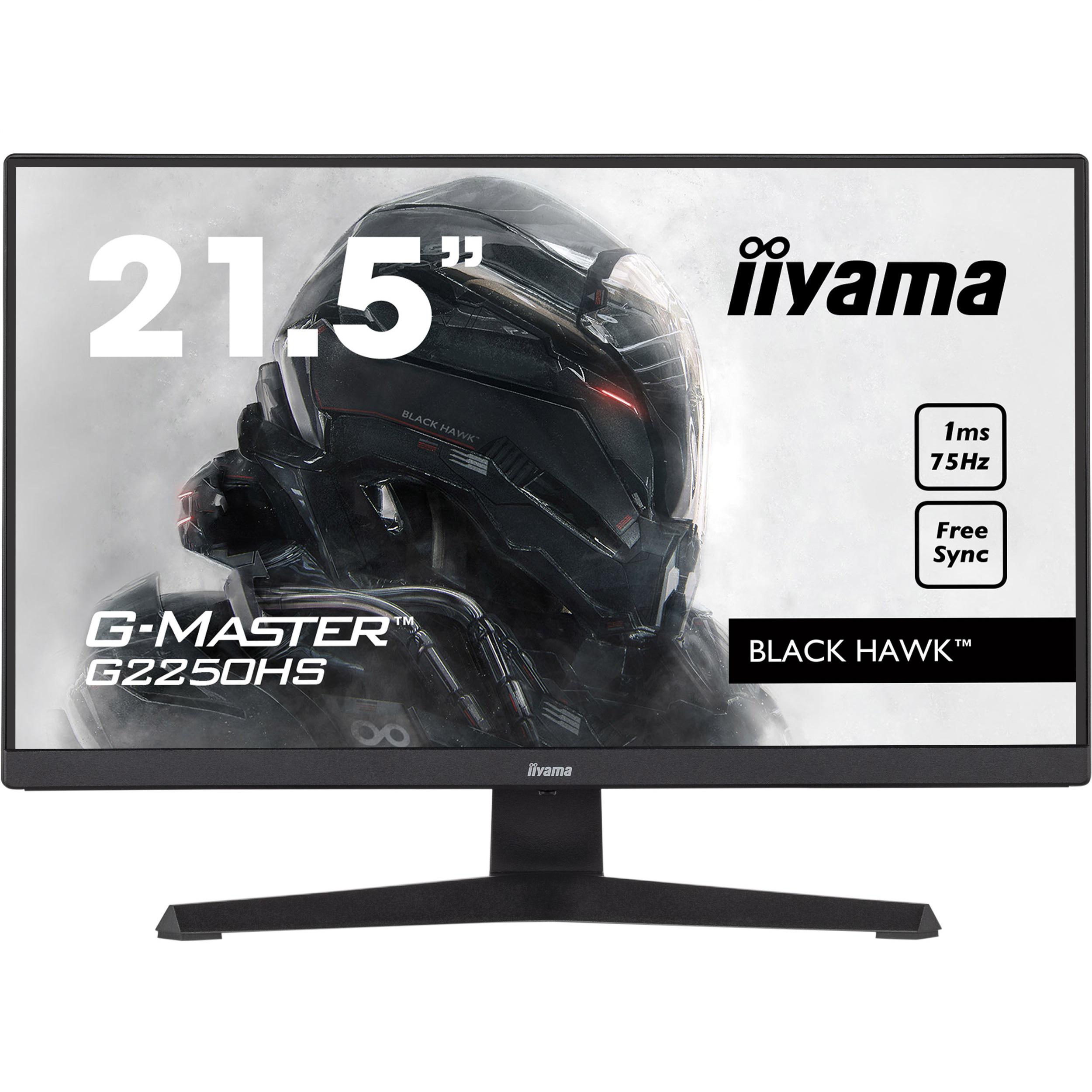 Монитор Iiyama G2250HS-B1 Черный (12133450)