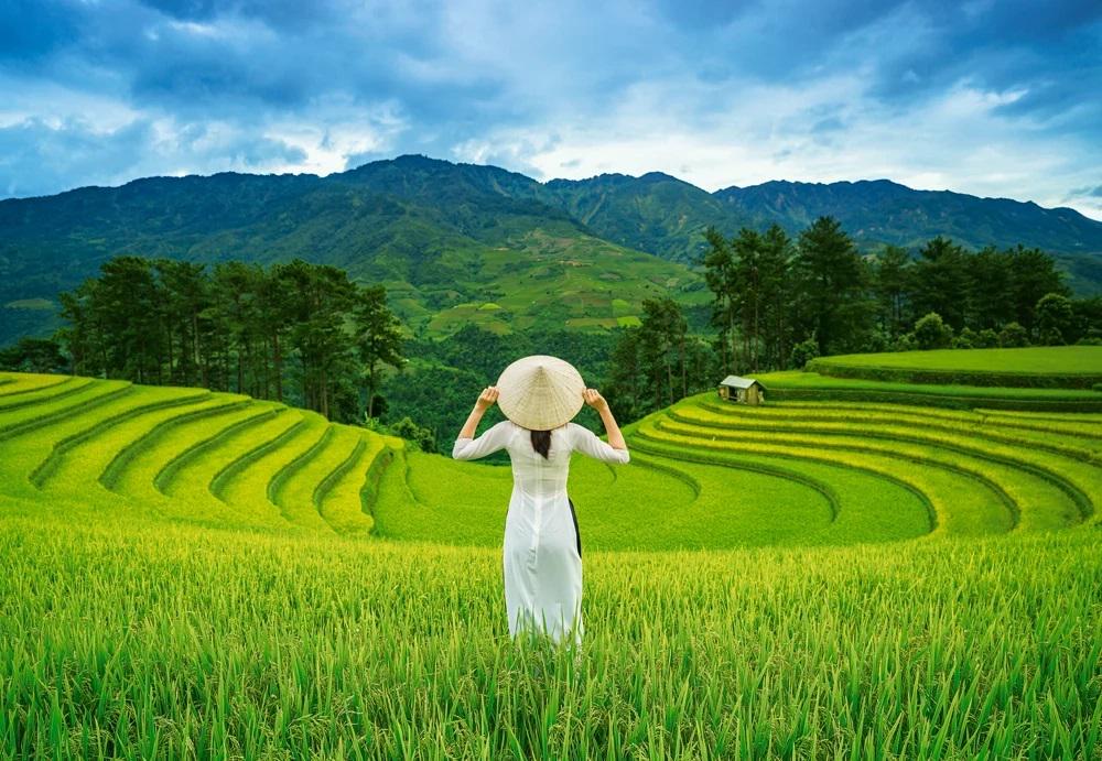 Пазл Рисовые Поля 1000 элементов (C-105052-CS)