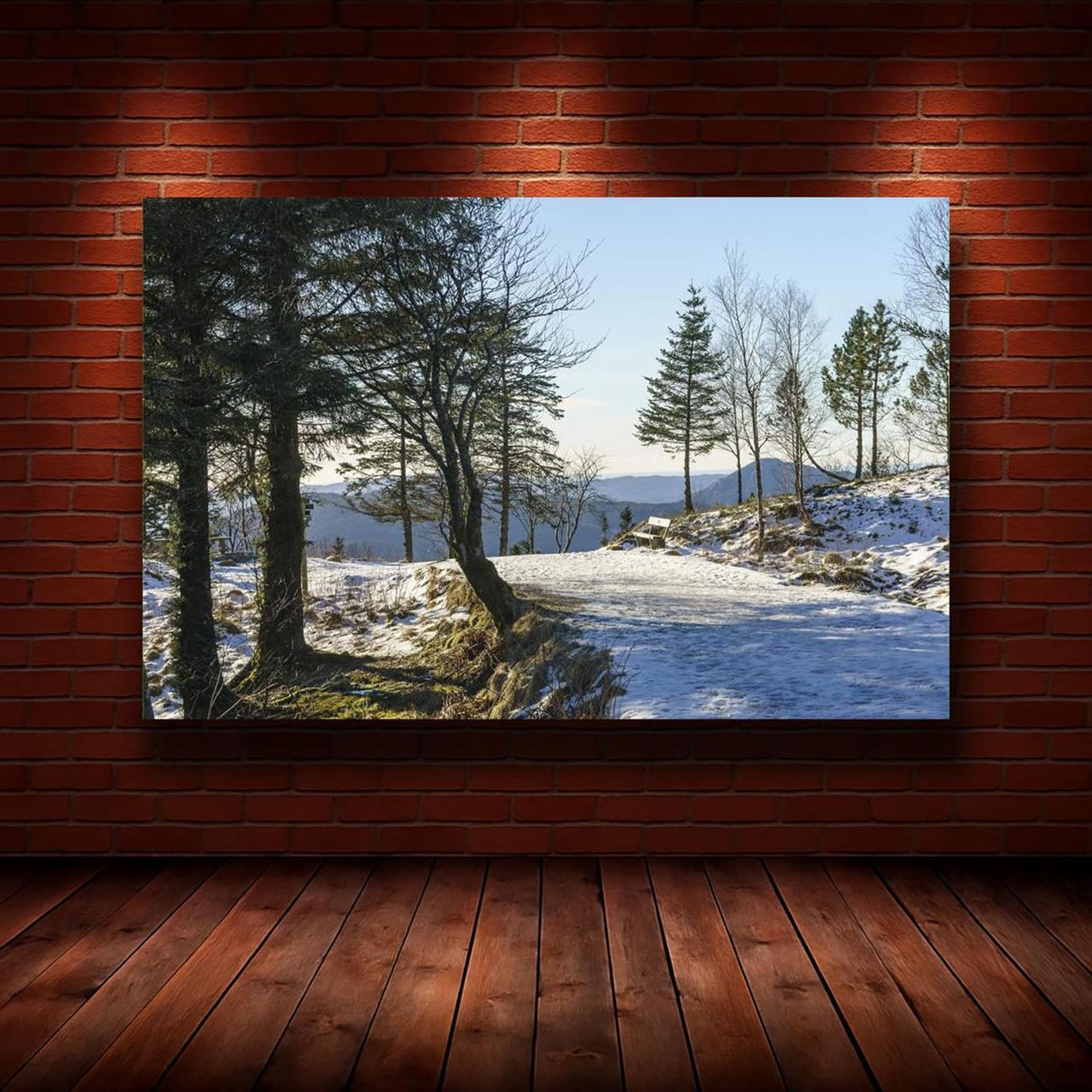 Картина на холсте Природа 50х70 см (N1187)