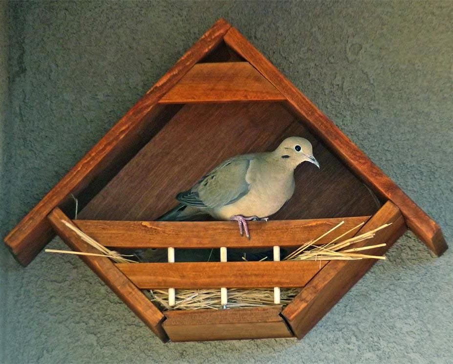 Гніздування для птахів з дерева Чирок Охра (ГНЗ-000904) - фото 2