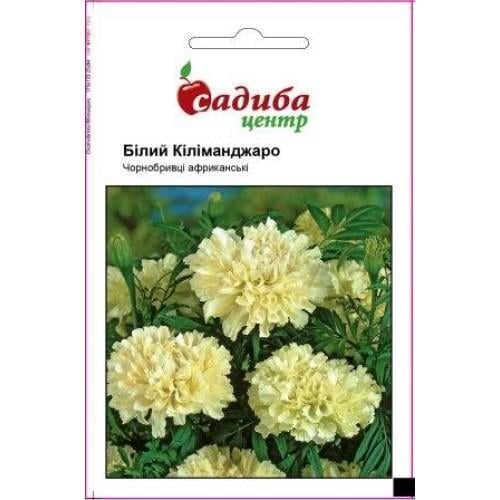 Семена цветов Бархатцы раскидистые Белый Килиманджаро (SZ-1012)