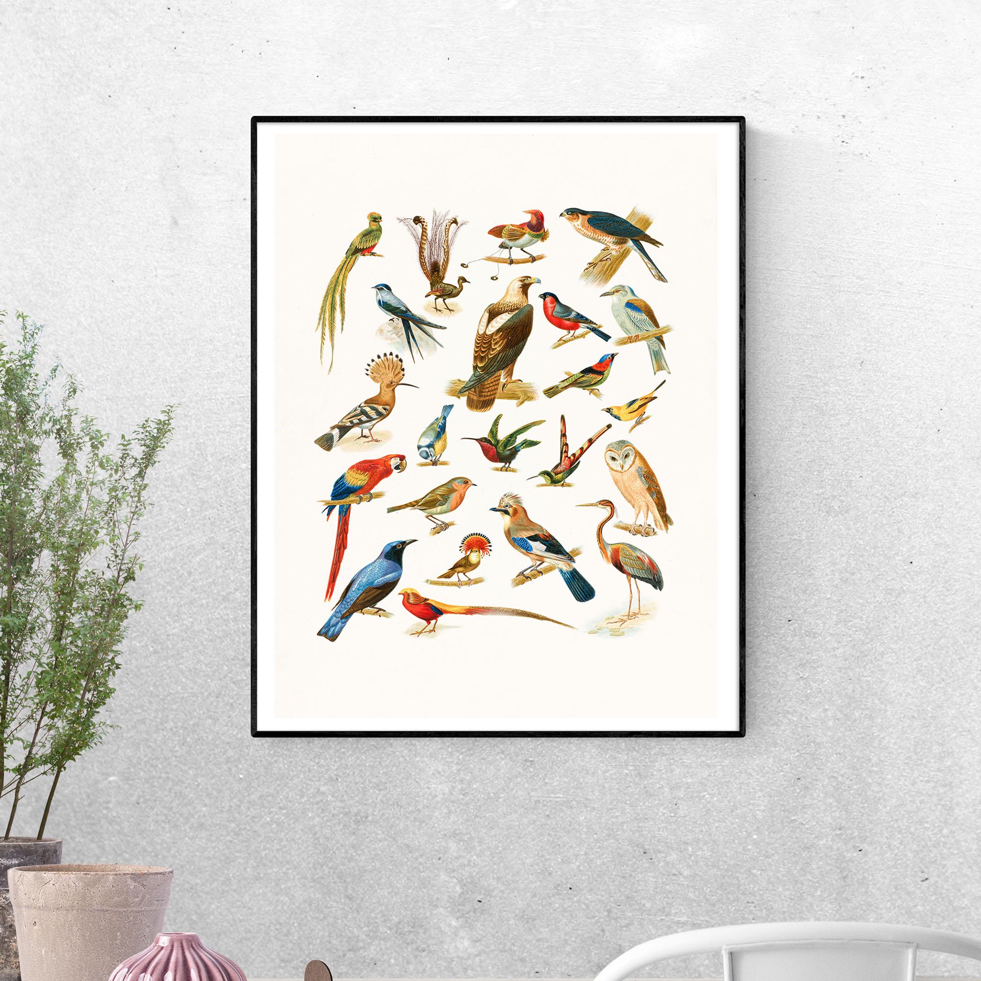 Постер 22 вида птиц формат А-5