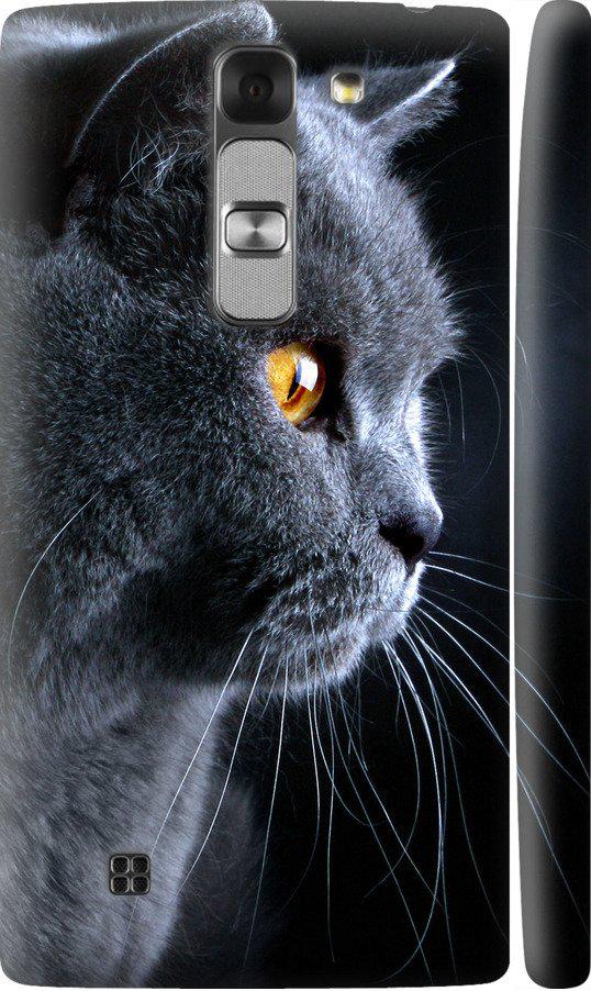 Чехол на LG G4c H522y Красивый кот (3038m-389-42517)
