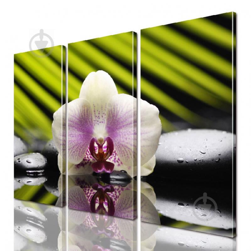 Модульная картина ArtStar цветы Орхидея ADFL0188 размер 150 х 180 см