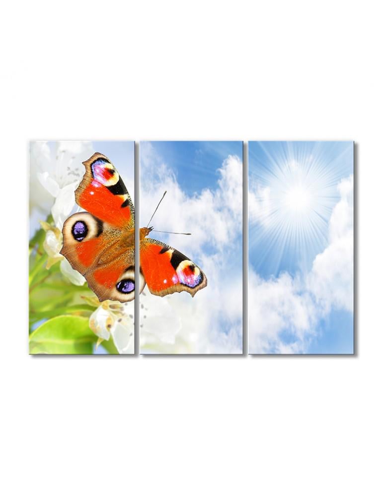 Картина модульная Солнечное небо и бабочка 3 модуля 50x75 см