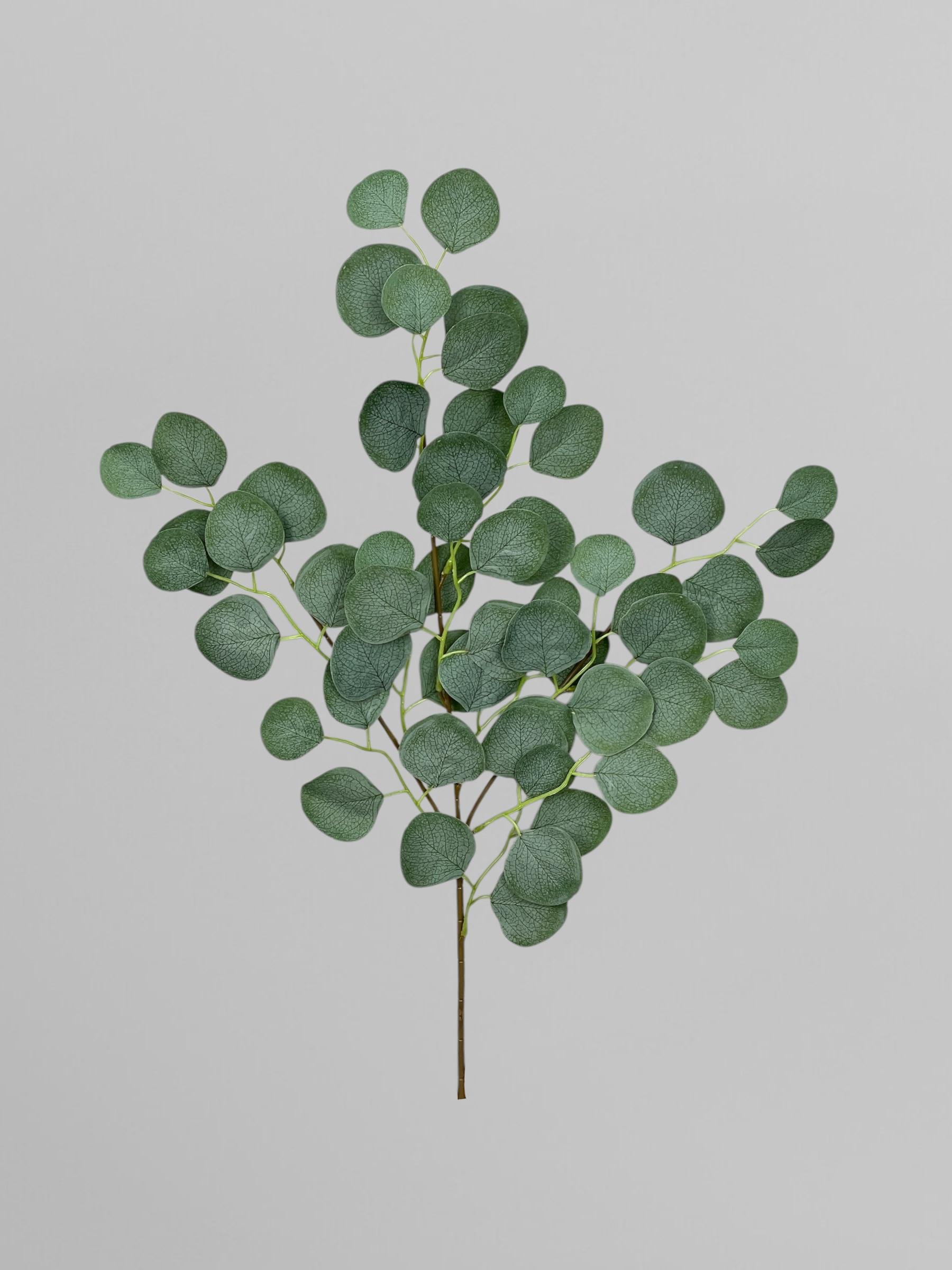 Искусственная ветвь эвкалипта 64 см Зеленый (Р03048)