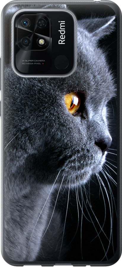 Чехол на Xiaomi Redmi 10C Красивый кот (3038b-2591-42517) Чехол на Xiaomi Redmi 10C Красивый кот (3038b-2591-42517)