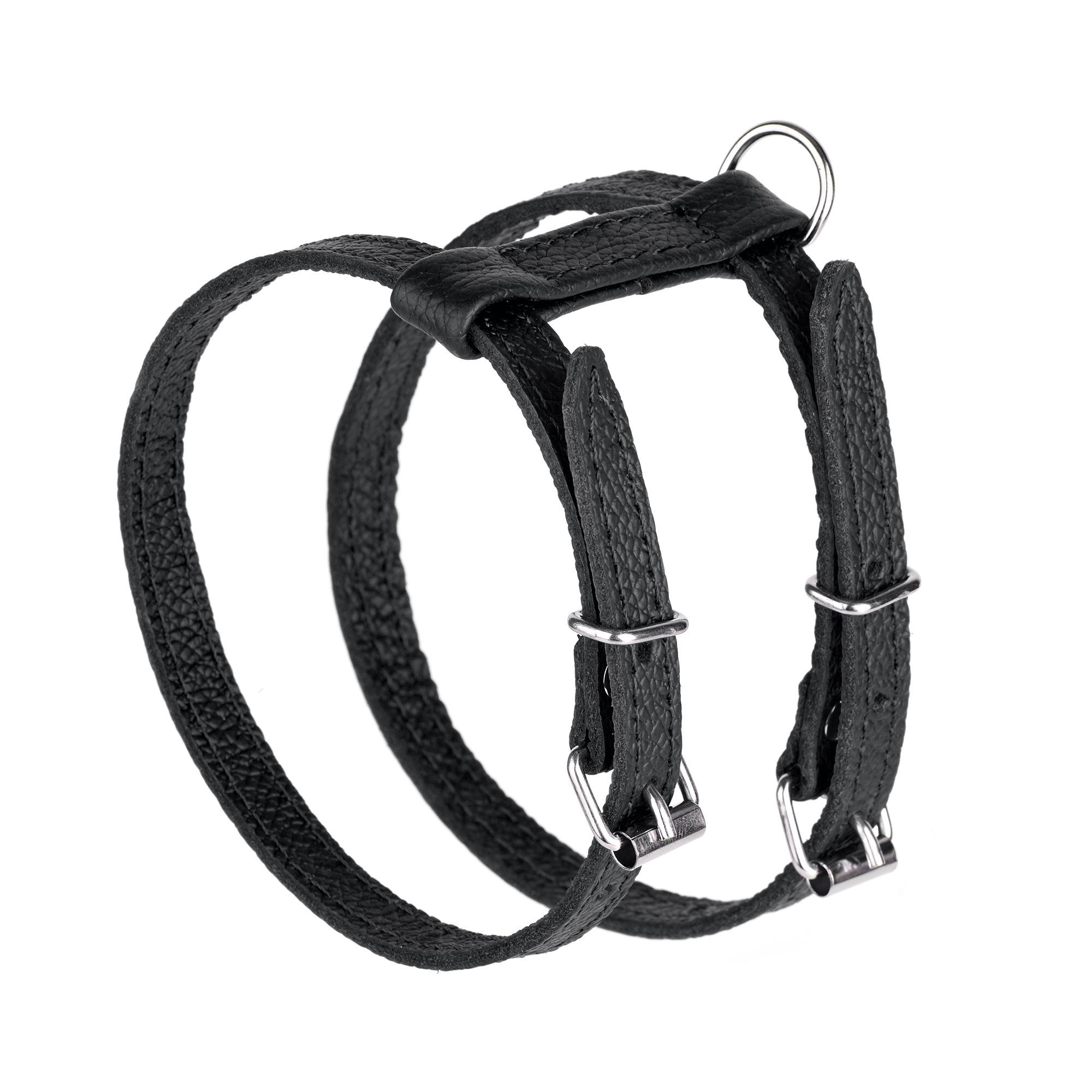 Шлея KareLine из натуральной кожи 12 мм А-230-300 мм В-270-340 мм Черный (8420/1) - фото 1 Шлея KareLine из натуральной кожи 12 мм А-230-300 мм В-270-340 мм Черный (8420/1) - фото 1