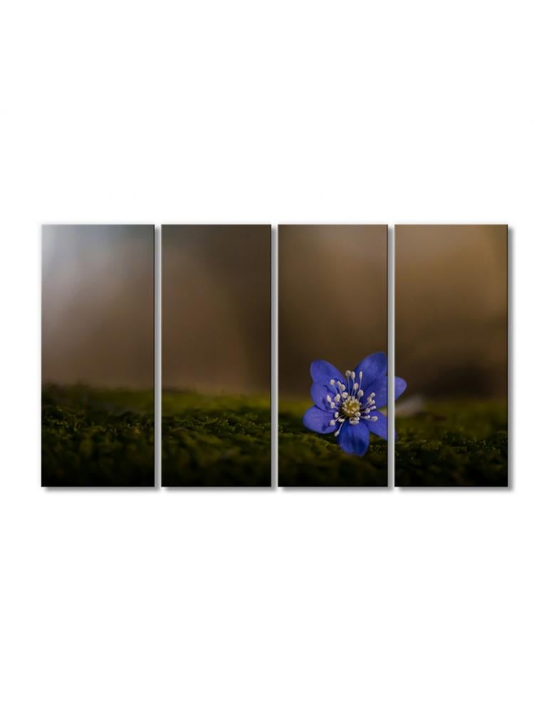 Картина модульная Печеночник благородный - многолетнее растение 4 модуля 60x90 см