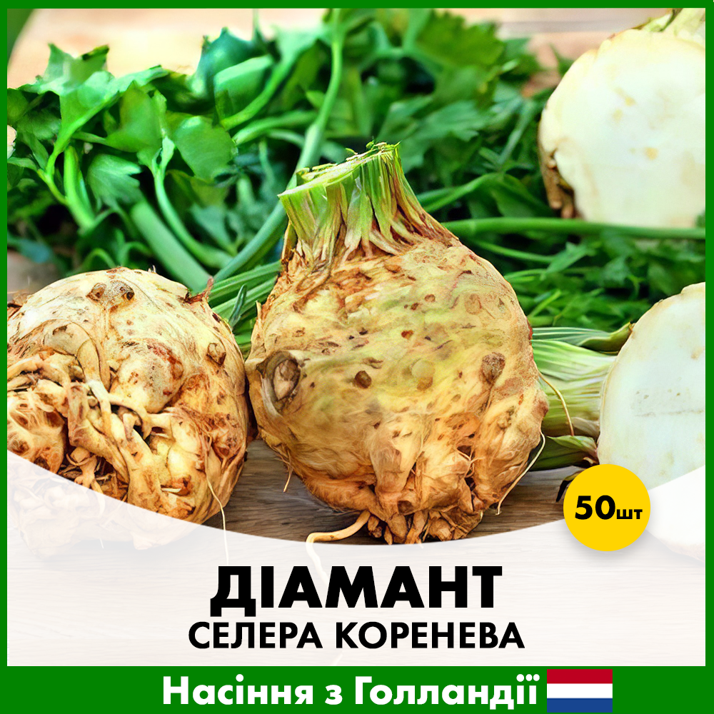 Семена сельдерея корневая Bejo Бриллиант 50 шт. (R50128)