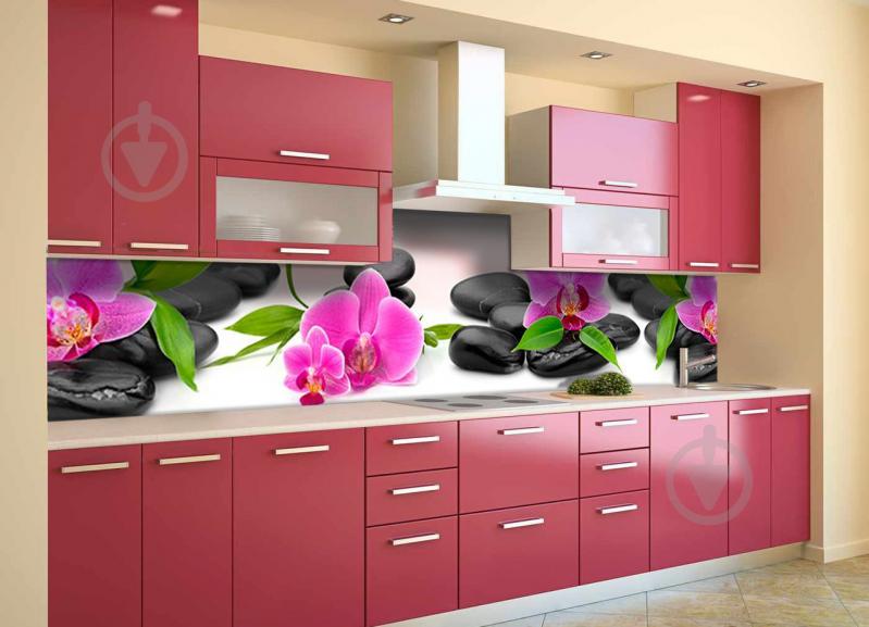 Скинали на кухню Zatarga «Яркие орхидеи на гладких камнях» 600х3000 мм виниловая 3Д наклейка кухонный фартук Z180555/2 Скинали на кухню Zatarga «Яркие орхидеи на гладких камнях» 600х3000 мм виниловая 3Д наклейка кухонный фартук Z180555/2