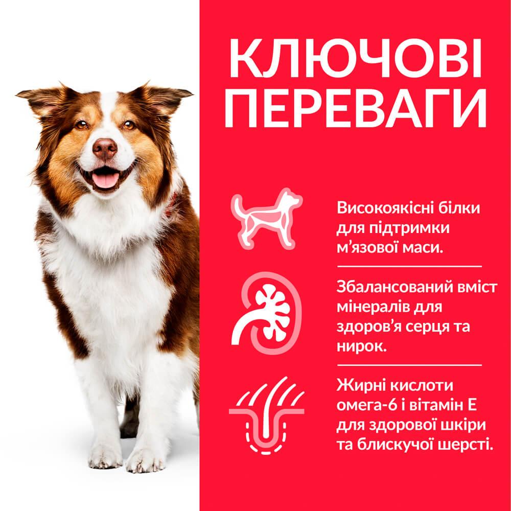 Корм для собак Hill’s SP Mature 7+ Medium Breed средних пород от 7 лет с курицей 14 кг - фото 3 Корм для собак Hill’s SP Mature 7+ Medium Breed средних пород от 7 лет с курицей 14 кг - фото 3