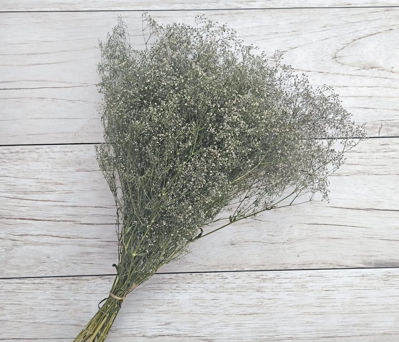 Сухоцвіт гіпсофіла метельчаста мілка 7-10 гілочок (2670414874)