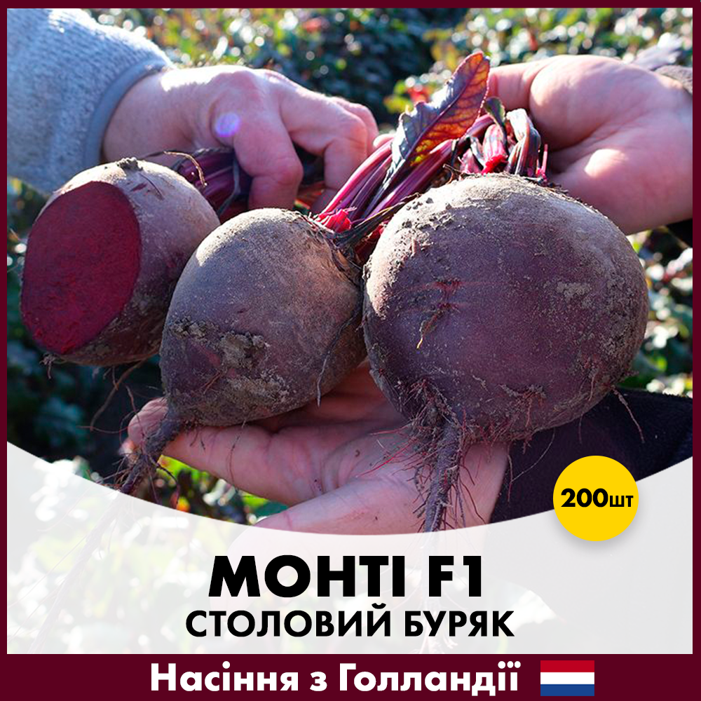 Насіння буряку Rijk Zwaan Столовий Монті F1 200 шт. (R50192)