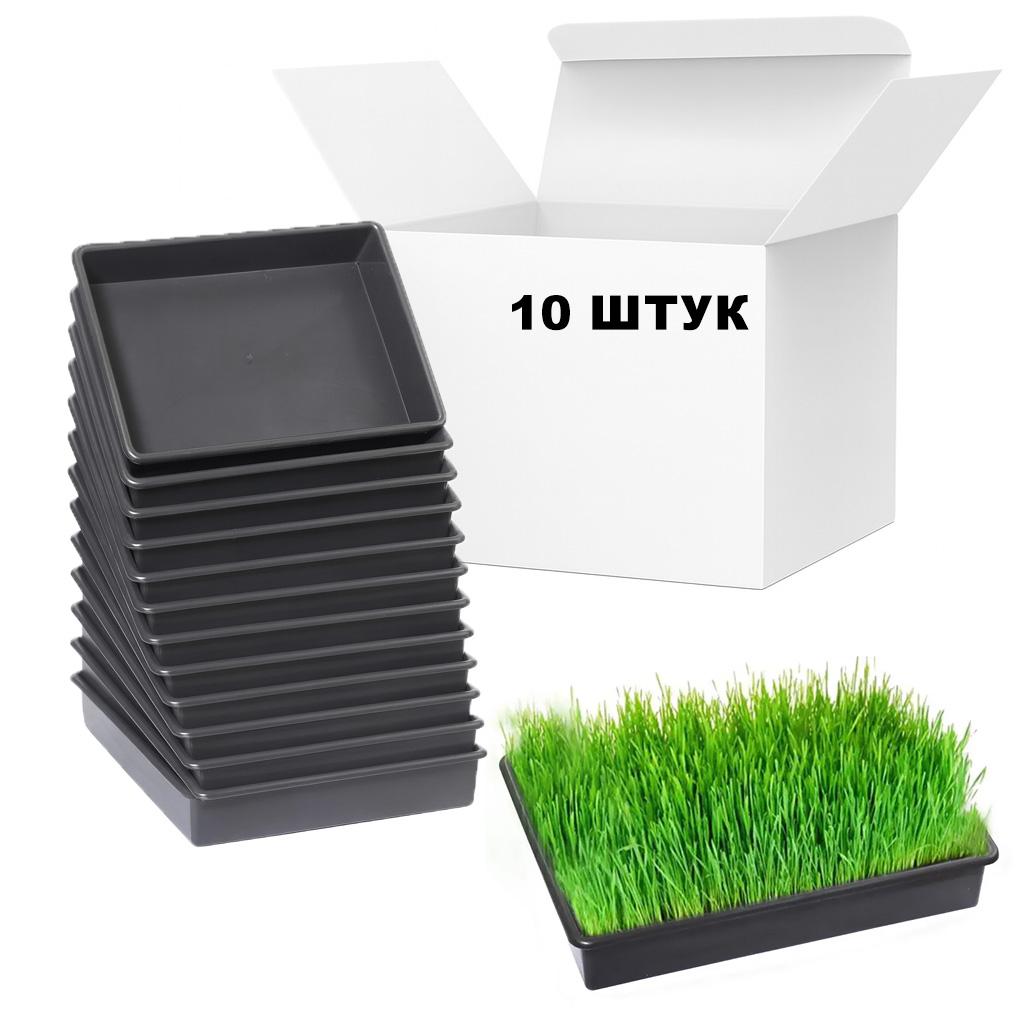 Лоток для розсади 40x26x8,5 см 9 л 10 шт. - фото 3 Лоток для розсади 40x26x8,5 см 9 л 10 шт. - фото 3