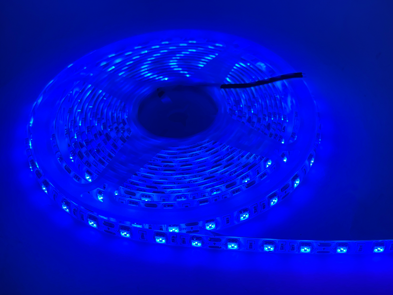 Світлодіодна стрічка MTK 5050 60 LED 10 мм 12 В IP65 Синій (7552)