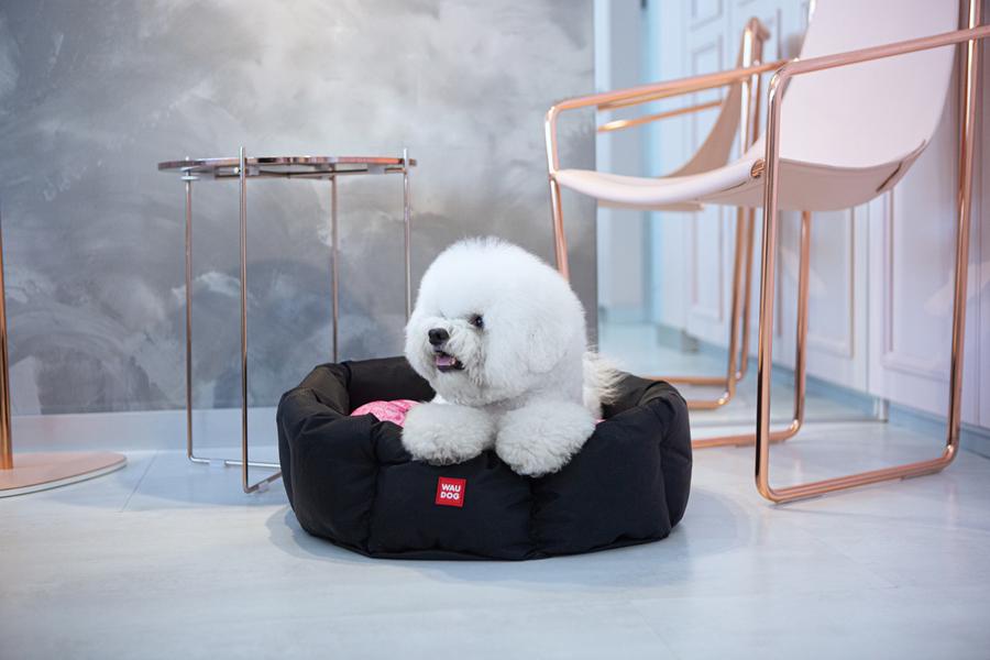 Лежак для собак та котів Waudog Relax Чудо-жінка зі змінною подушкою S 34х45 см В 17 см Black (224-2007) - фото 6 Лежак для собак та котів Waudog Relax Чудо-жінка зі змінною подушкою S 34х45 см В 17 см Black (224-2007) - фото 6