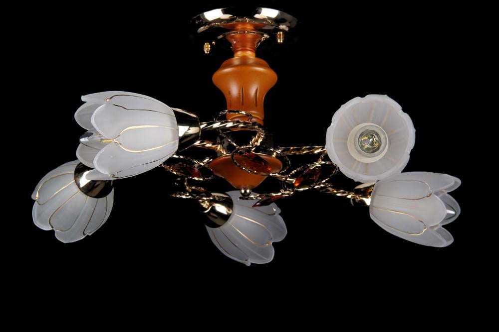 Люстра с плафонами Ray L82276/5 FGD (IR005883)