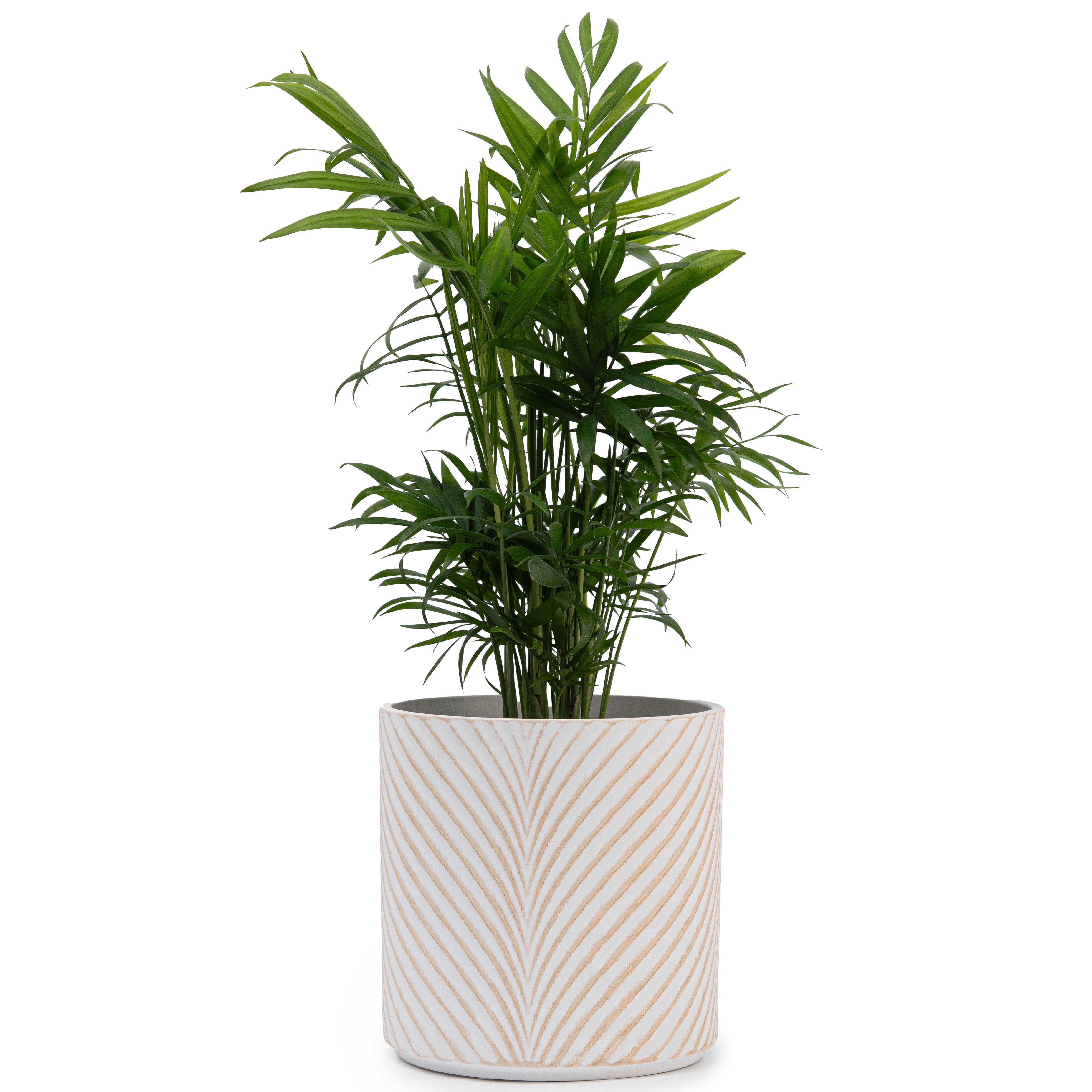 Набор кашпо для цветов керамические elemi Листок круглый 1,3 л/ 2,3 л/ 4,5 л Белый/Бежевый (УТ-00094681) - фото 10