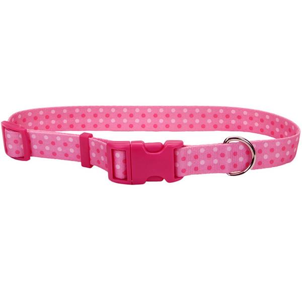 Ошейник для собак Coastal Pet Attire Styles 2,5х46-66 см (06921_PDT26)