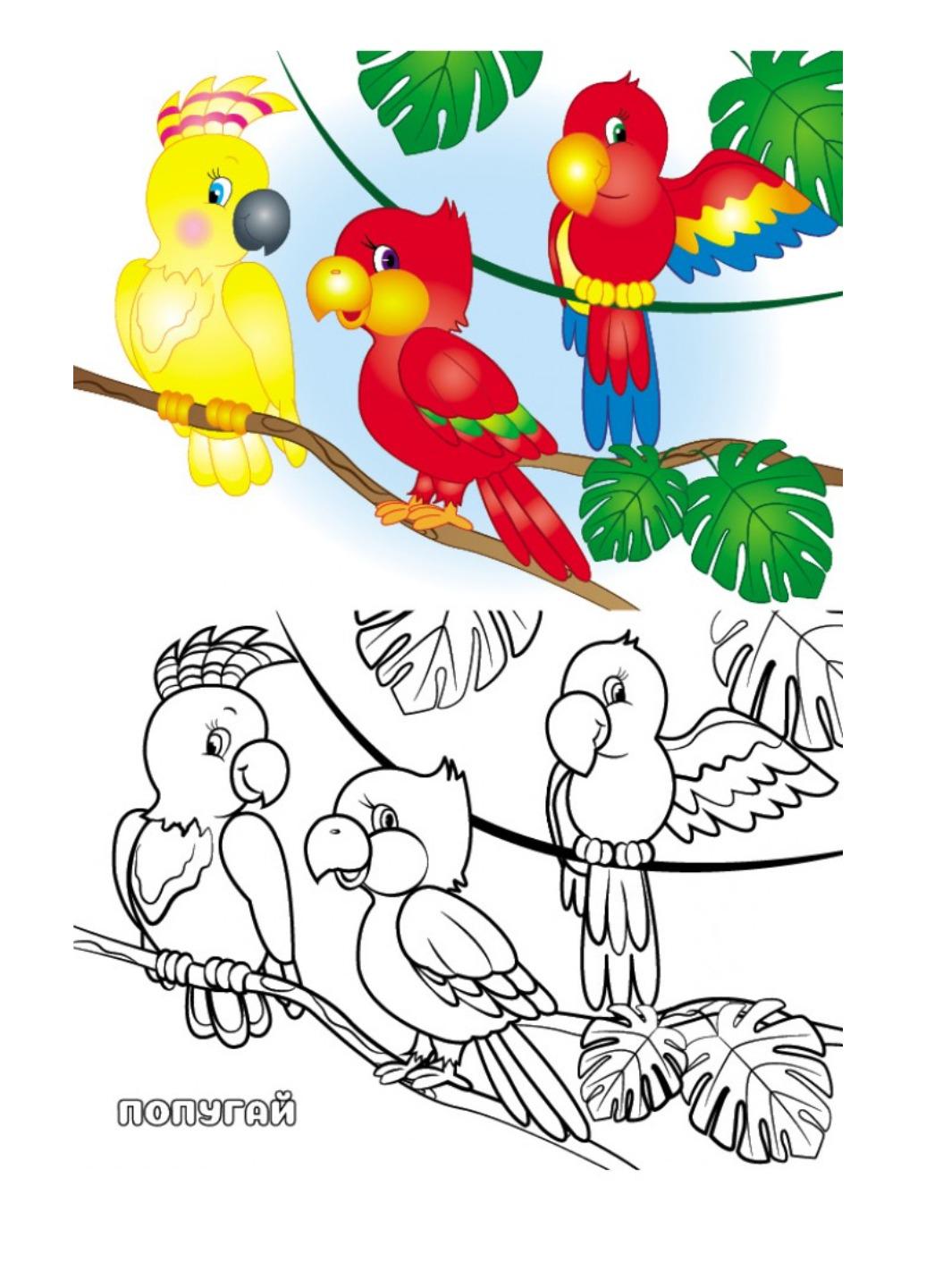 Розмальовка "Кумедні тварини Подивись та розфарбуй" - фото 4 Розмальовка "Кумедні тварини Подивись та розфарбуй" - фото 4