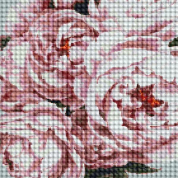 Алмазная мозаика Идейка Утонченные пионы 40х40 см (AMO7101)