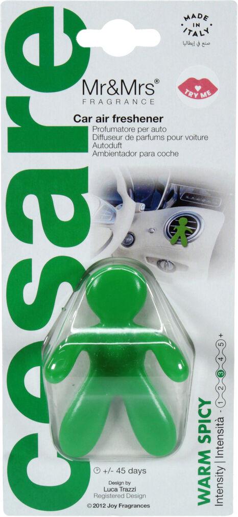 Ароматизатор Mr&Mrs Cesare New Blister Warm Spicy полимерный Green