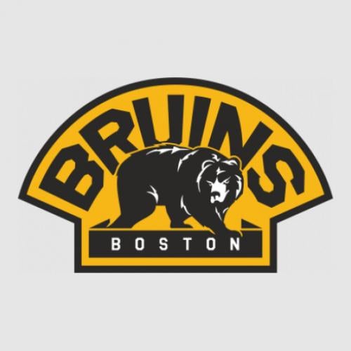 Стікер Boston Bruins 15x9,3 см Жовтий із чорним (23634699)