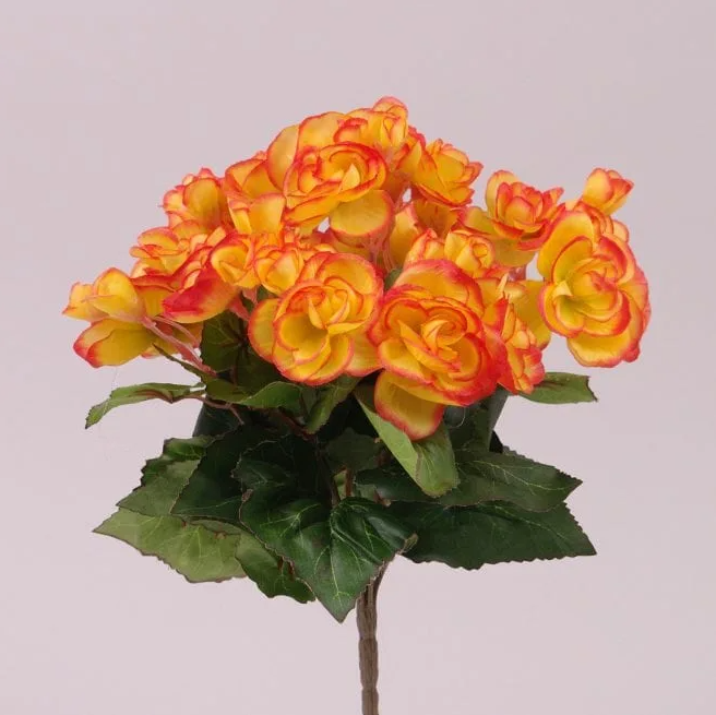 Букет Бегоний Flora Желто-оранжевый (72831)