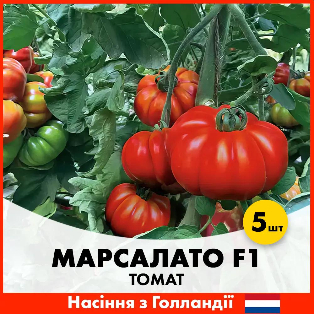 Семена томата Enza Zaden Марсалато F1 5 шт. (R30129)