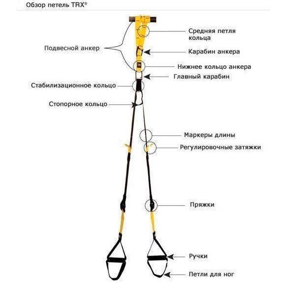 Тренировочные петли TRX Fit Studio Pro Suspension Training - фото 4