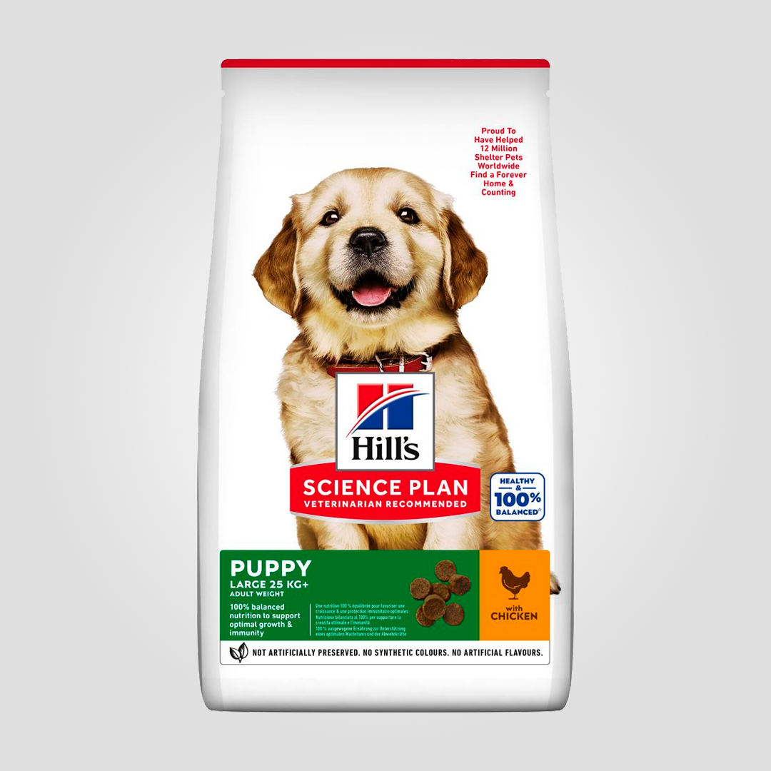 Корм сухой Hill's Science Plan Canine Puppy Large Breed для щенков больших пород с курицей 14,5 кг (2222646896)