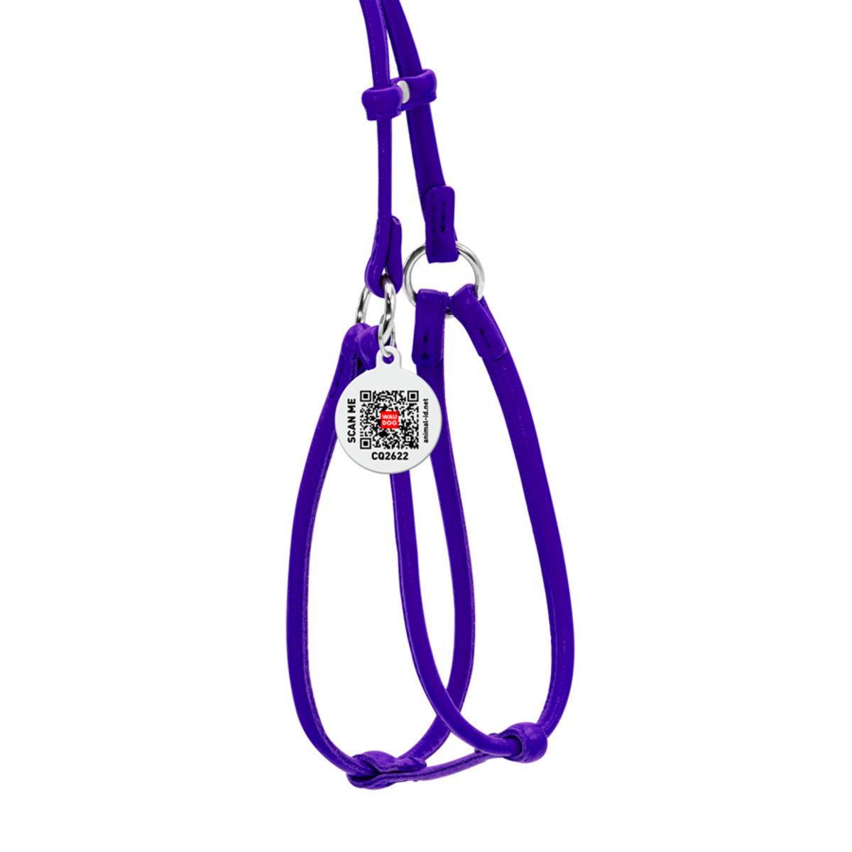Шлея с поводком для собак Waudog Glamour с QR паспортом/круглая/кожаная 6 мм х 42-60 см х 46-64 см Фиолетовый (34029 Col)