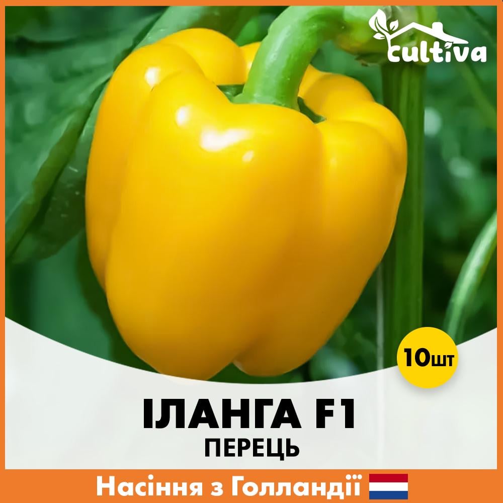 Насіння перцю Rijk Zwaan Іланга F1 10 шт. (R51160)