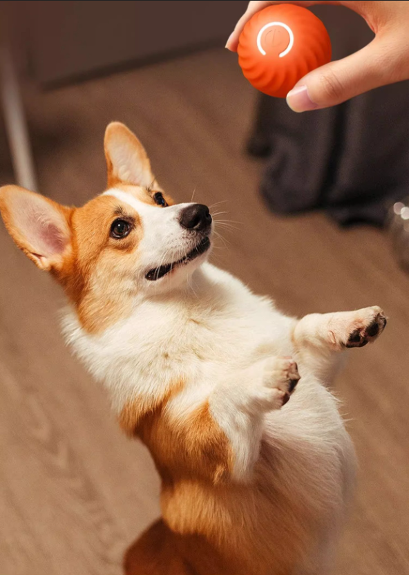 Игрушка для для животных интерактивная смарт-мячик Petgravity с usb зарядкой Оранжевый (2049241749) - фото 2 Игрушка для для животных интерактивная смарт-мячик Petgravity с usb зарядкой Оранжевый (2049241749) - фото 2