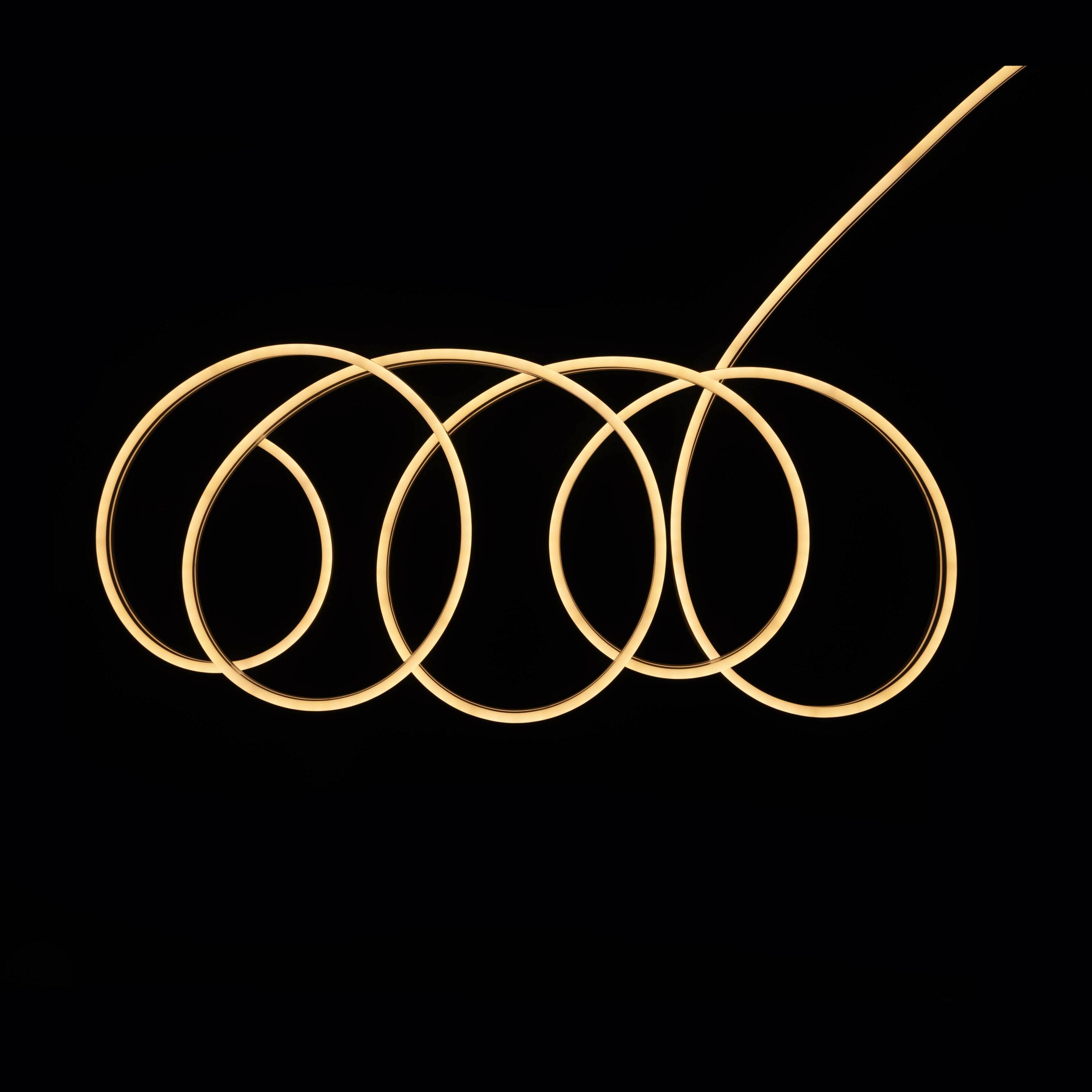 Світлодіодний неон Prolum Series-ML Pro SMART RUN 6x12 IP68 24V Теплий білий (30076014) - фото 6 Світлодіодний неон Prolum Series-ML Pro SMART RUN 6x12 IP68 24V Теплий білий (30076014) - фото 6