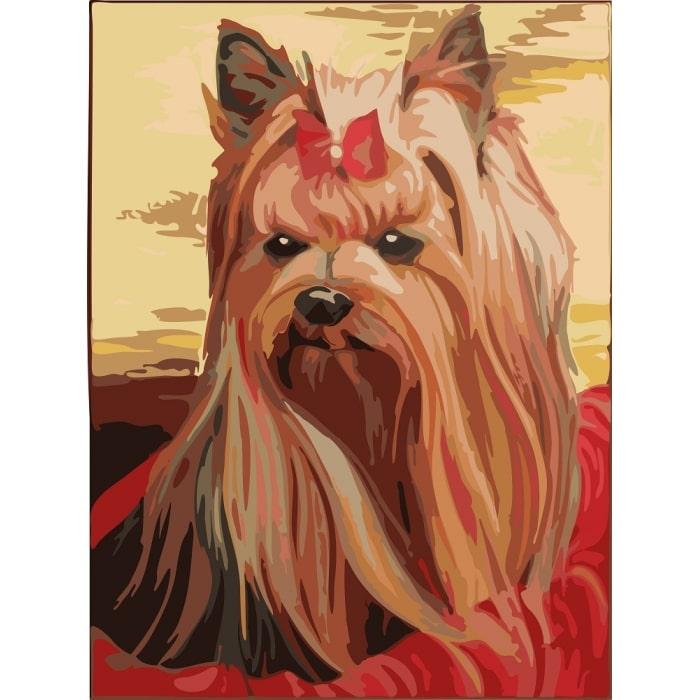 Картина по номерам Идейка Милый друг КНО2454 холст на подрамнике 30x40 см (1344758693)