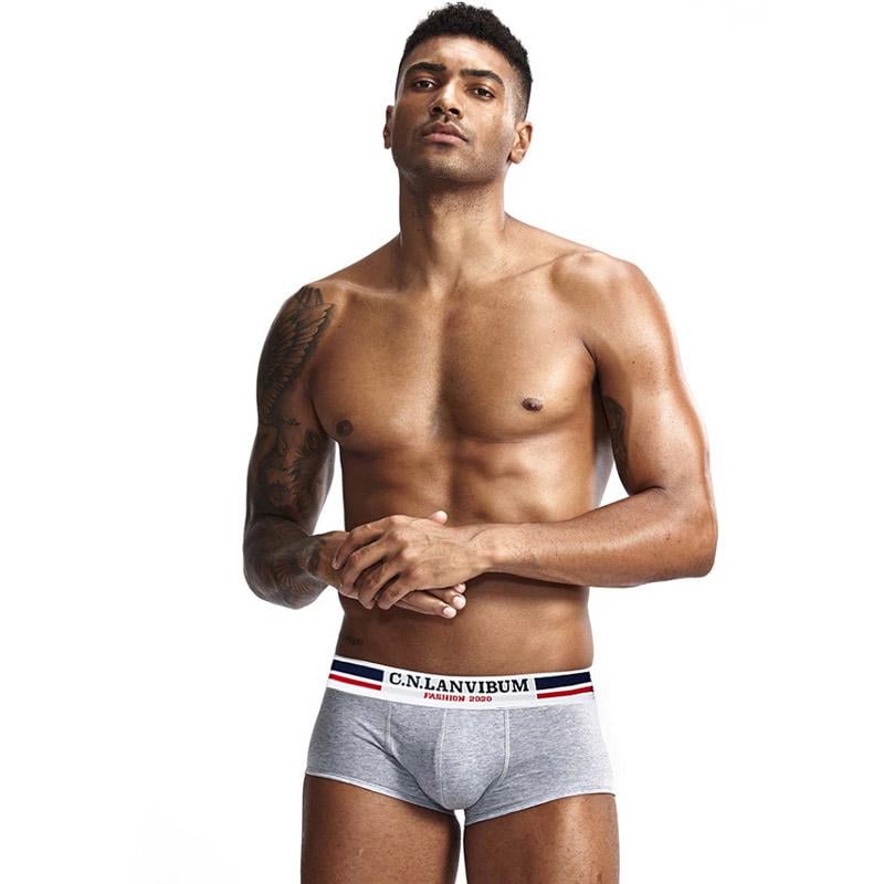 Трусы Lanvibum XXL Серый (7439) Трусы Lanvibum XXL Серый (7439)