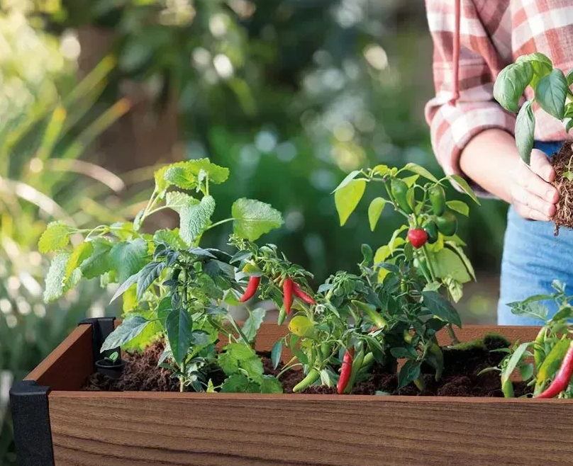 Цветочный горшок Keter Darwin Deco 110 л Орех (261042) - фото 4 Цветочный горшок Keter Darwin Deco 110 л Орех (261042) - фото 4