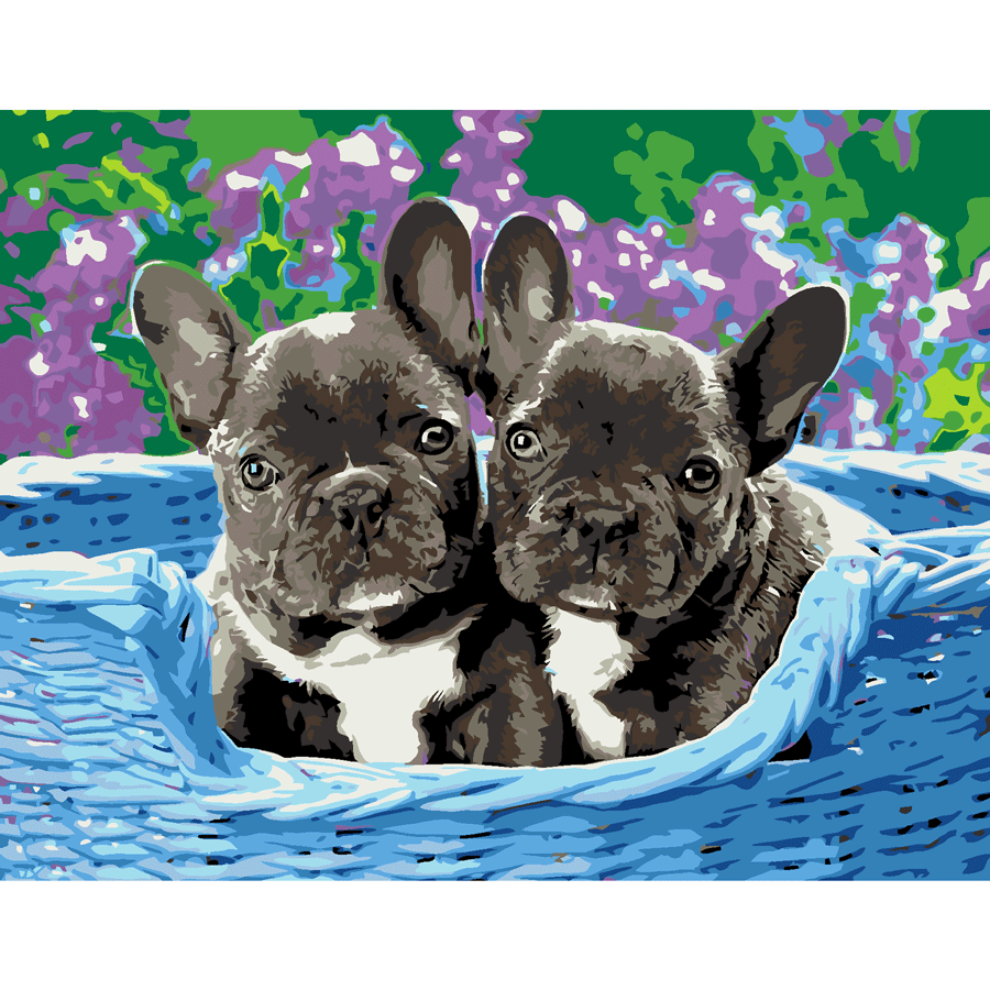 Картина по номерам Rosa Start Щенки 35x45 см в коробке (Az1-4823098525141)