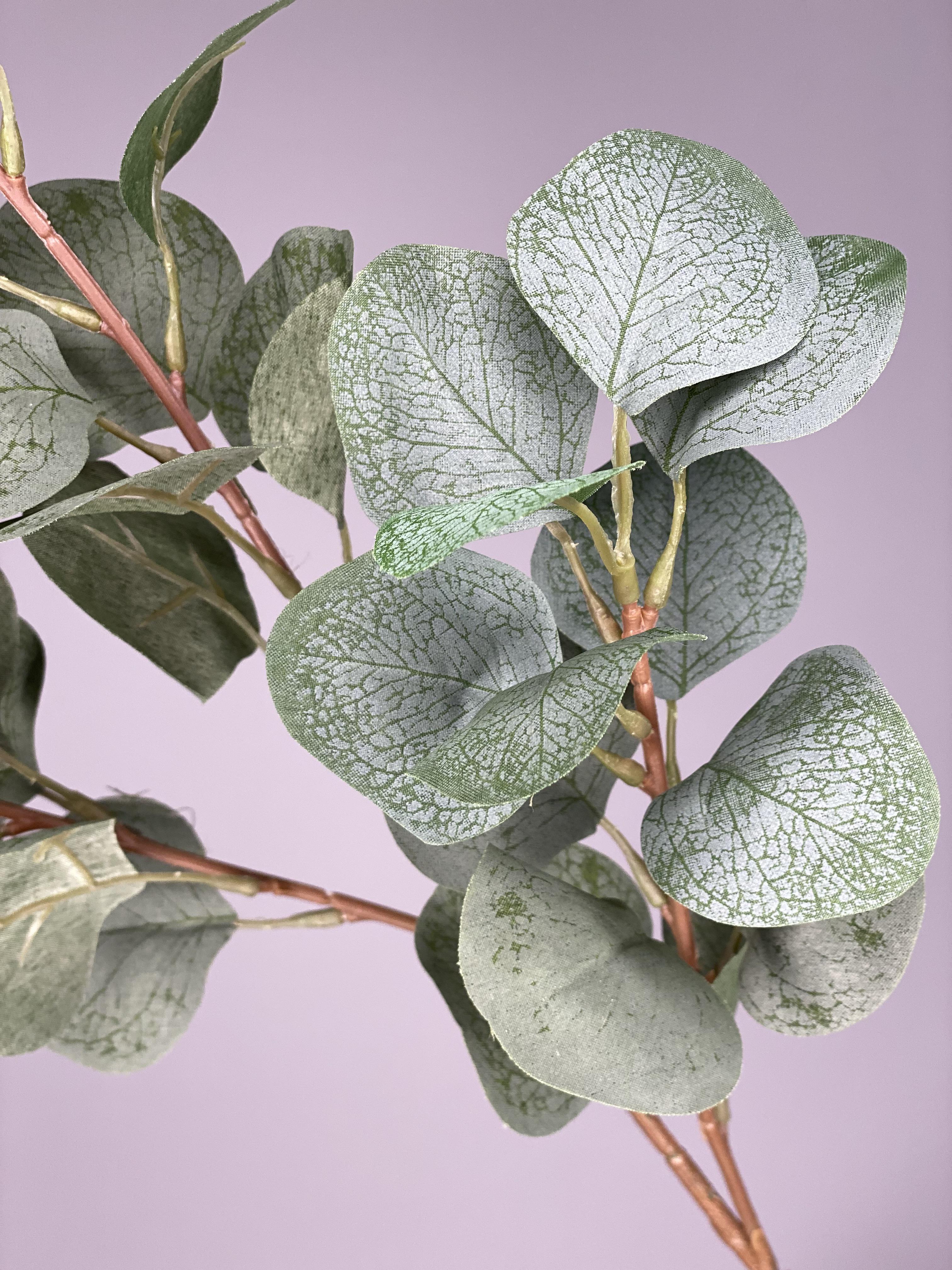 Эвкалипт искусственный популюс из сатина - фото 6 Эвкалипт искусственный популюс из сатина - фото 6