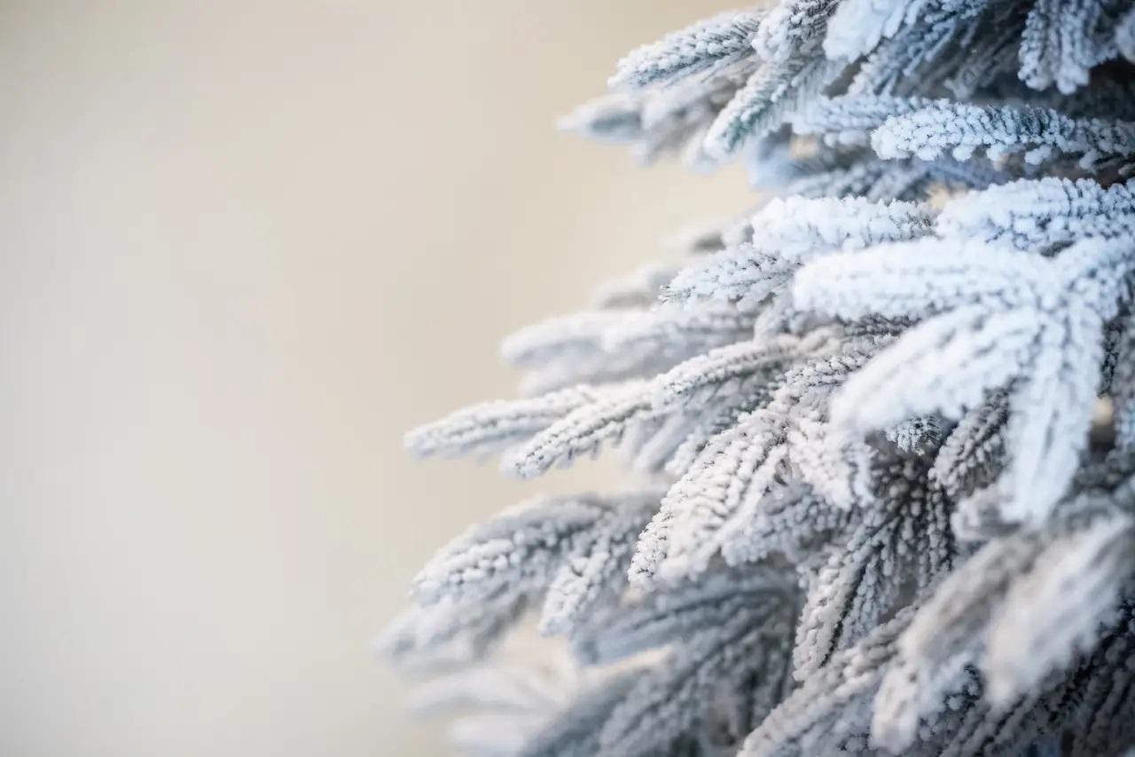 Искусственная елка литая Ель Заснеженная 1,8 м (12901647) - фото 3 Искусственная елка литая Ель Заснеженная 1,8 м (12901647) - фото 3