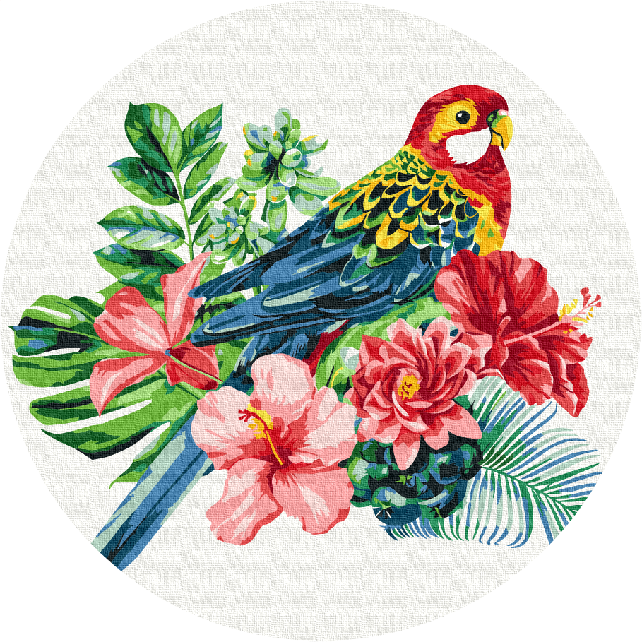Картина по номерам Brushme Попугай 30 см (RC00058M) Картина по номерам Brushme Попугай 30 см (RC00058M)