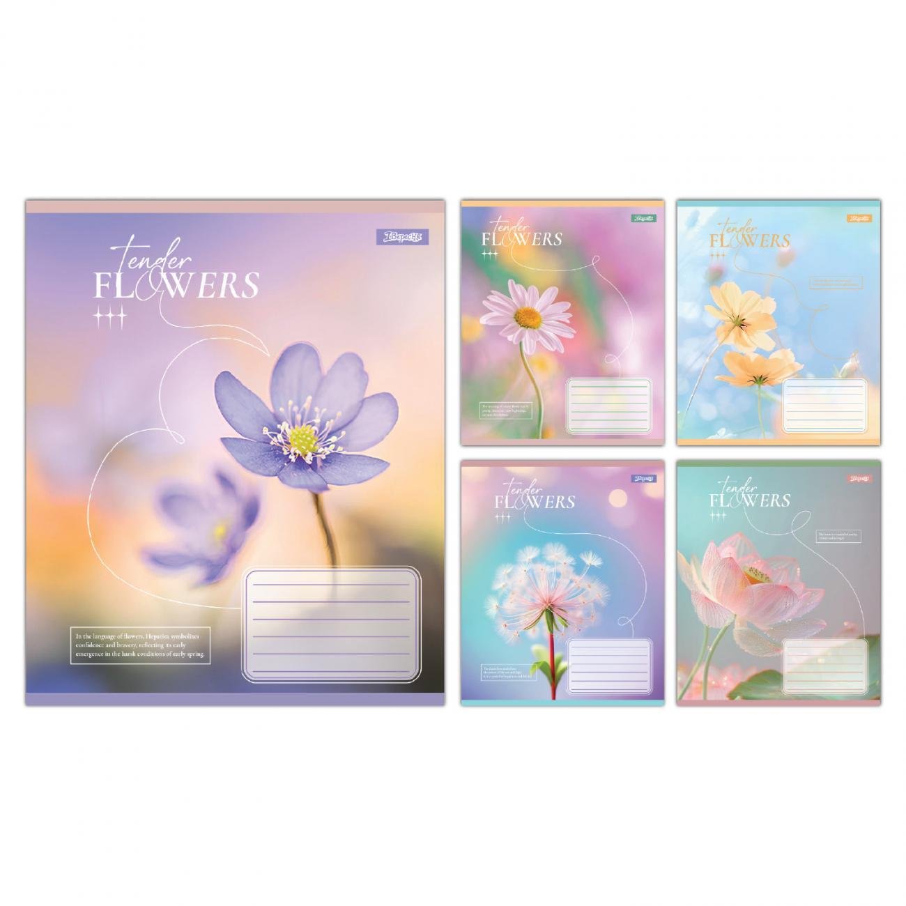 Зошити учнівські 1 вересня Tender Flowers 48 аркушів клітинка 10 шт. в упаковці