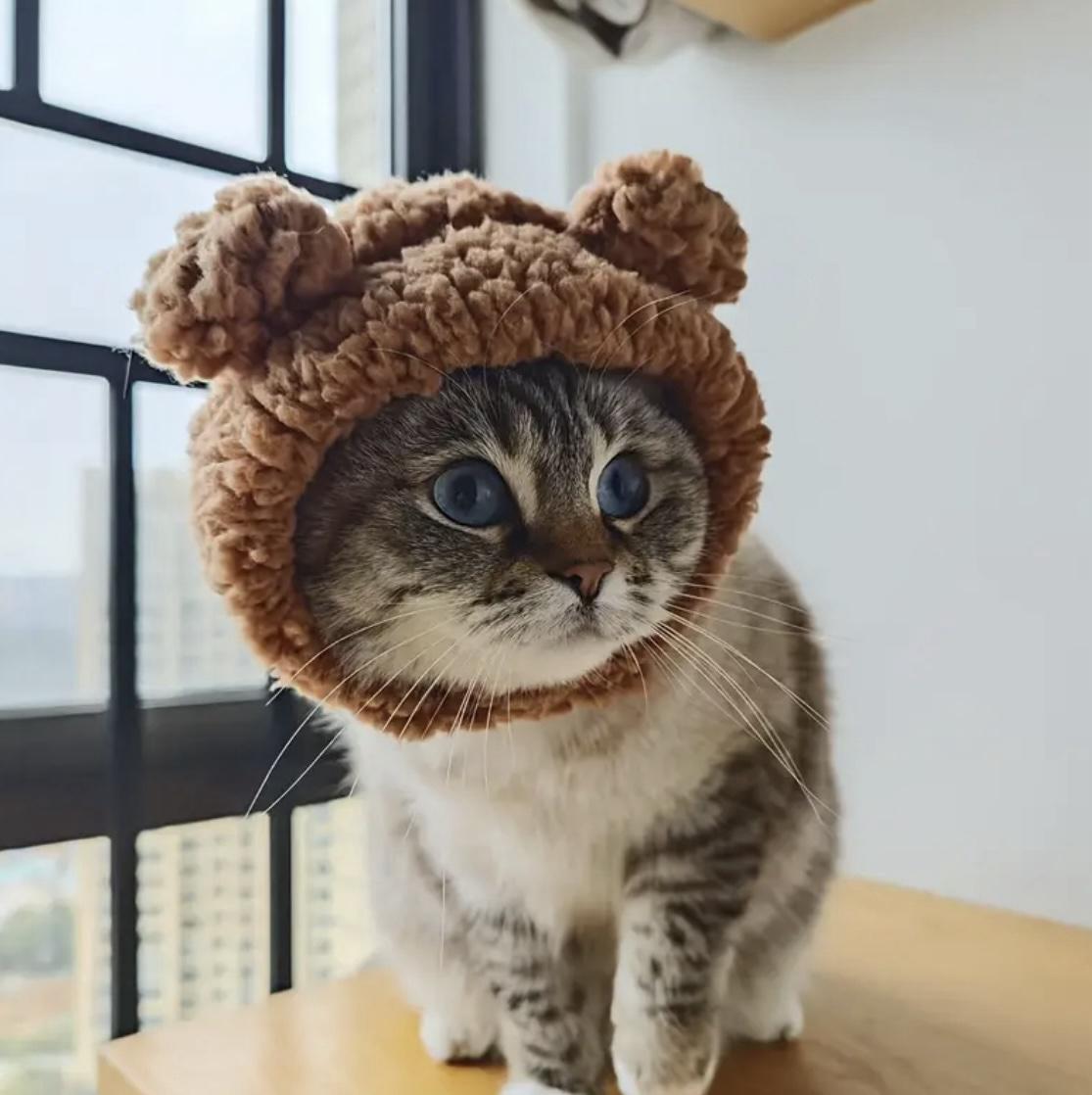 Шапка с ушками для кошек/собак Pet 2-4.5 кг Brown - фото 11