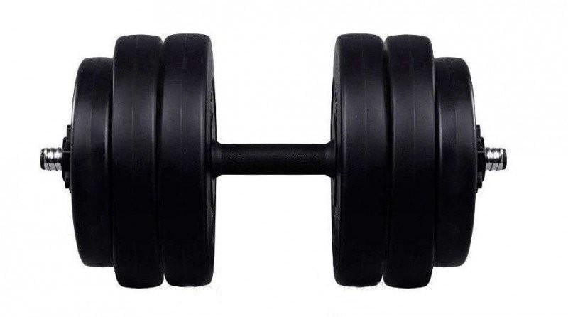 Гантель разборный RN-Sport с пластиковым покрытием 26 кг и скакалка (2764274481)