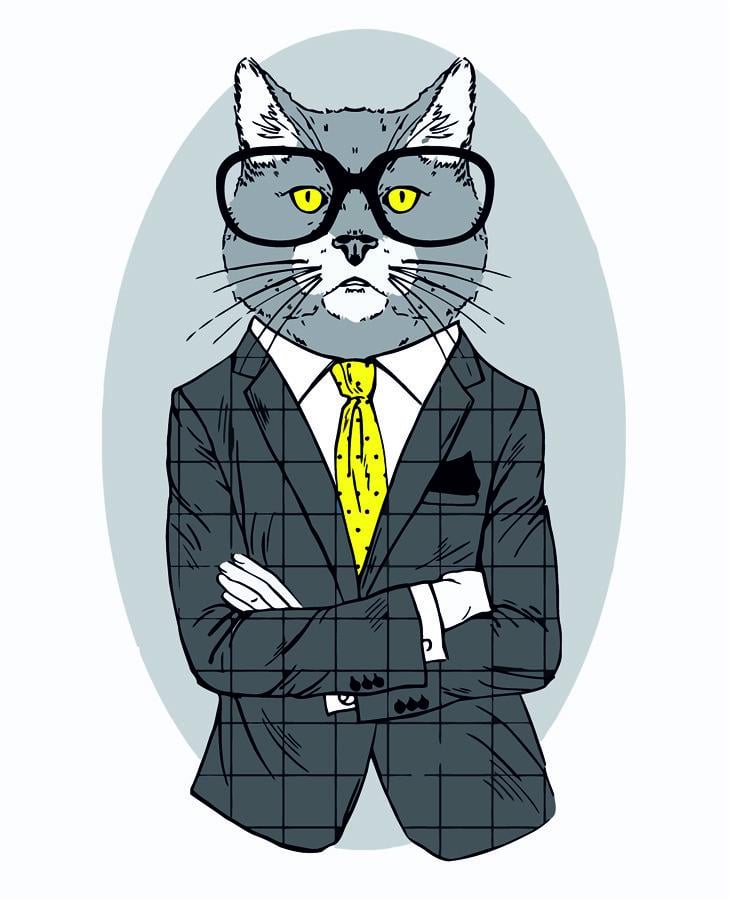 Картина по номерам Rosa Start Fashion Cat 35×45 см (2742432654)
