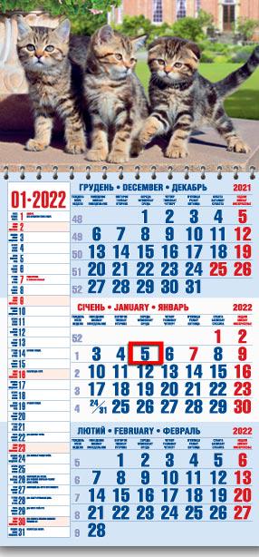 Календарь настенный квартальный МАРКО на 2022 год офисный 1 Котята (офіс1-13 2022)