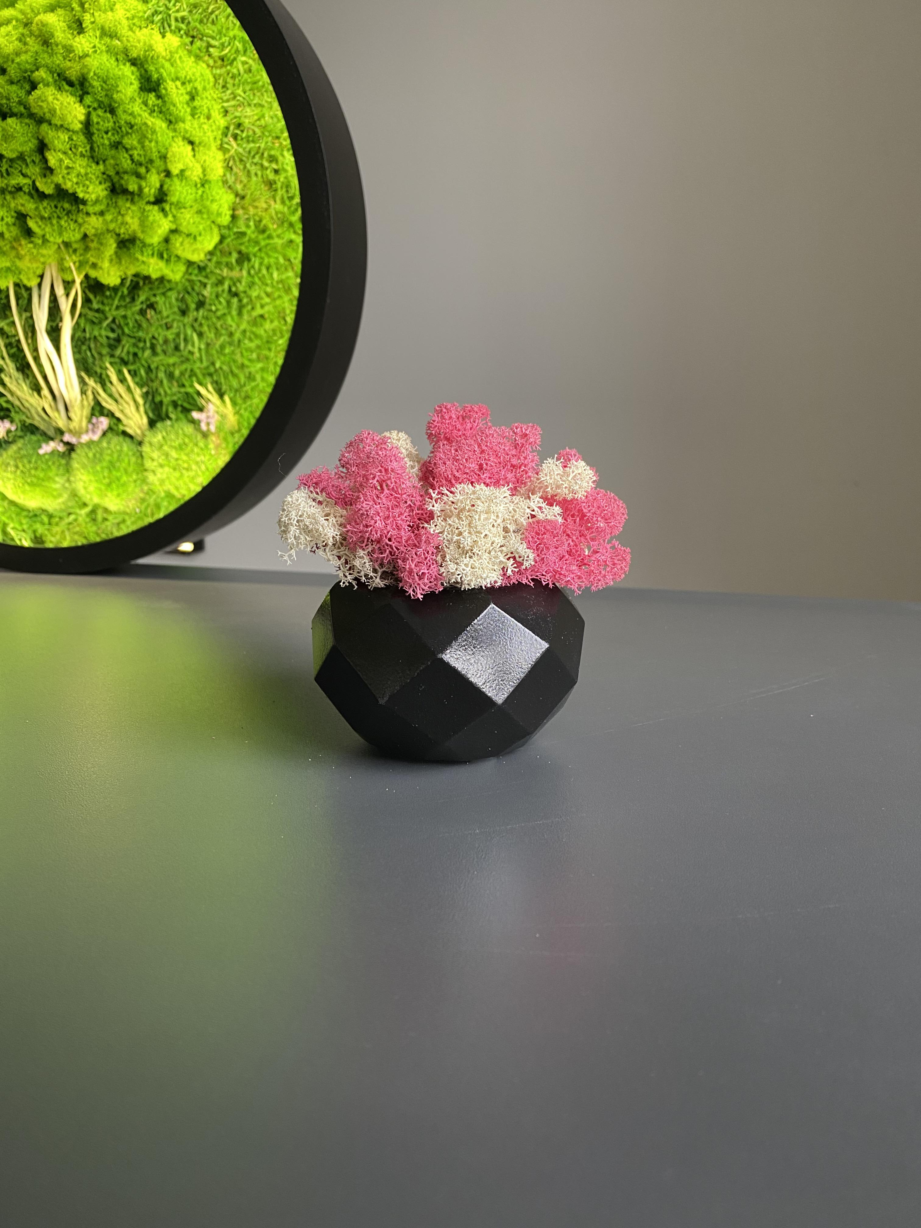 Кашпо с мхом гипсовое (32645180)