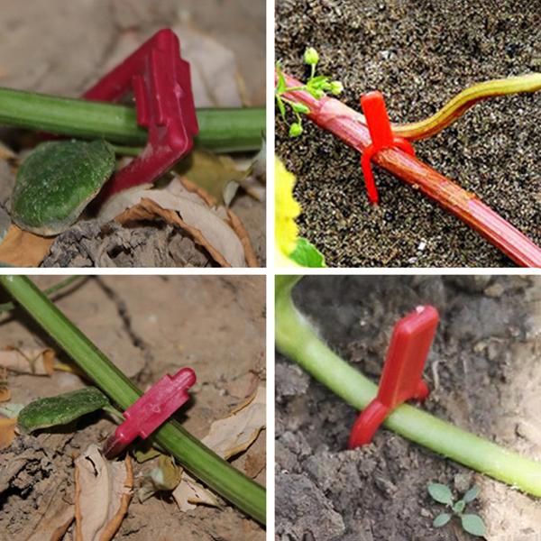 Набор фиксаторов для полива (Y01682) - фото 4